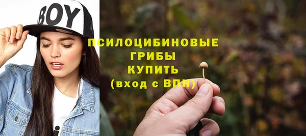 МДПВ Абаза