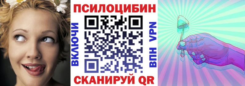 Галлюциногенные грибы Psilocybine cubensis hydra онион Аксай где можно купить наркотик