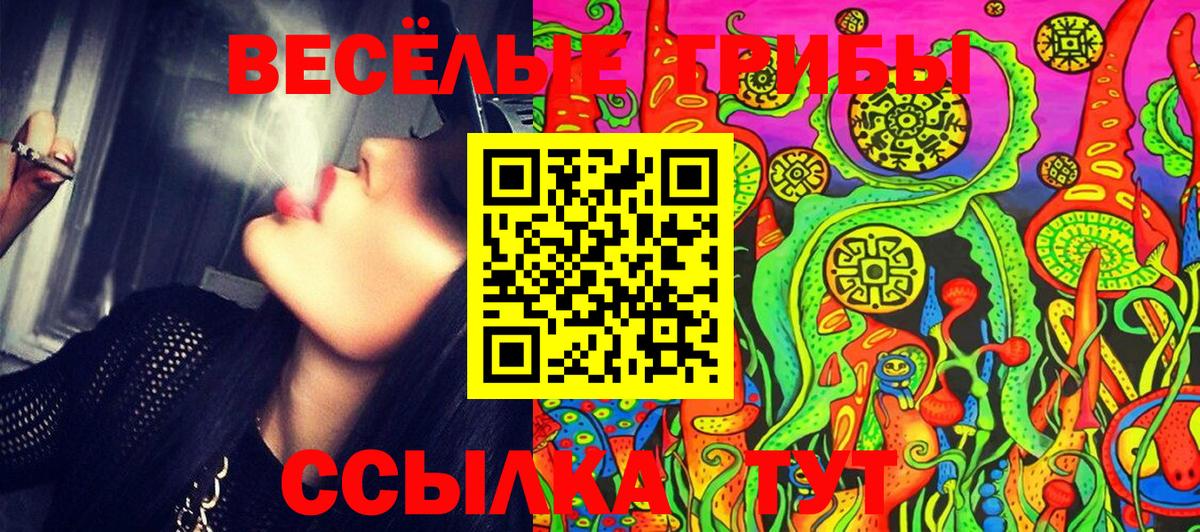 Псилоцибиновые грибы GOLDEN TEACHER  Вход с VPN  Аксай  Псилоцибиновые грибы Psilocybe 